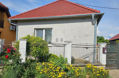 House for sale, Búč