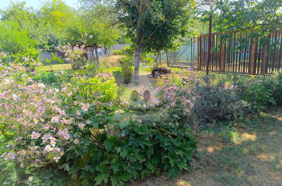 Sale of a sunny garden with a cottage in Komárno, Tehelňa area