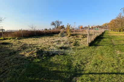 Garden in Nová Stráž